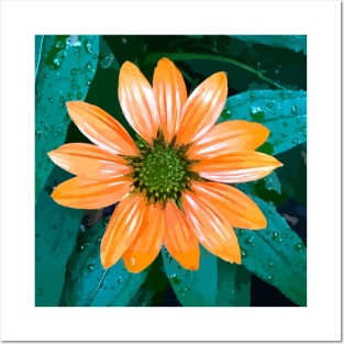 Single Coneflower Posters and Art